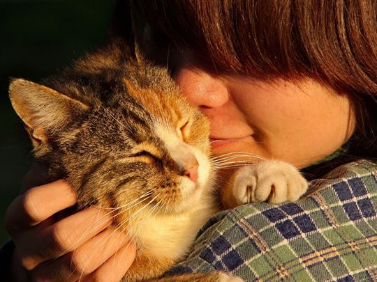 Autistic Child cuddling a cat
