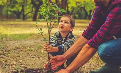 foster carer payments